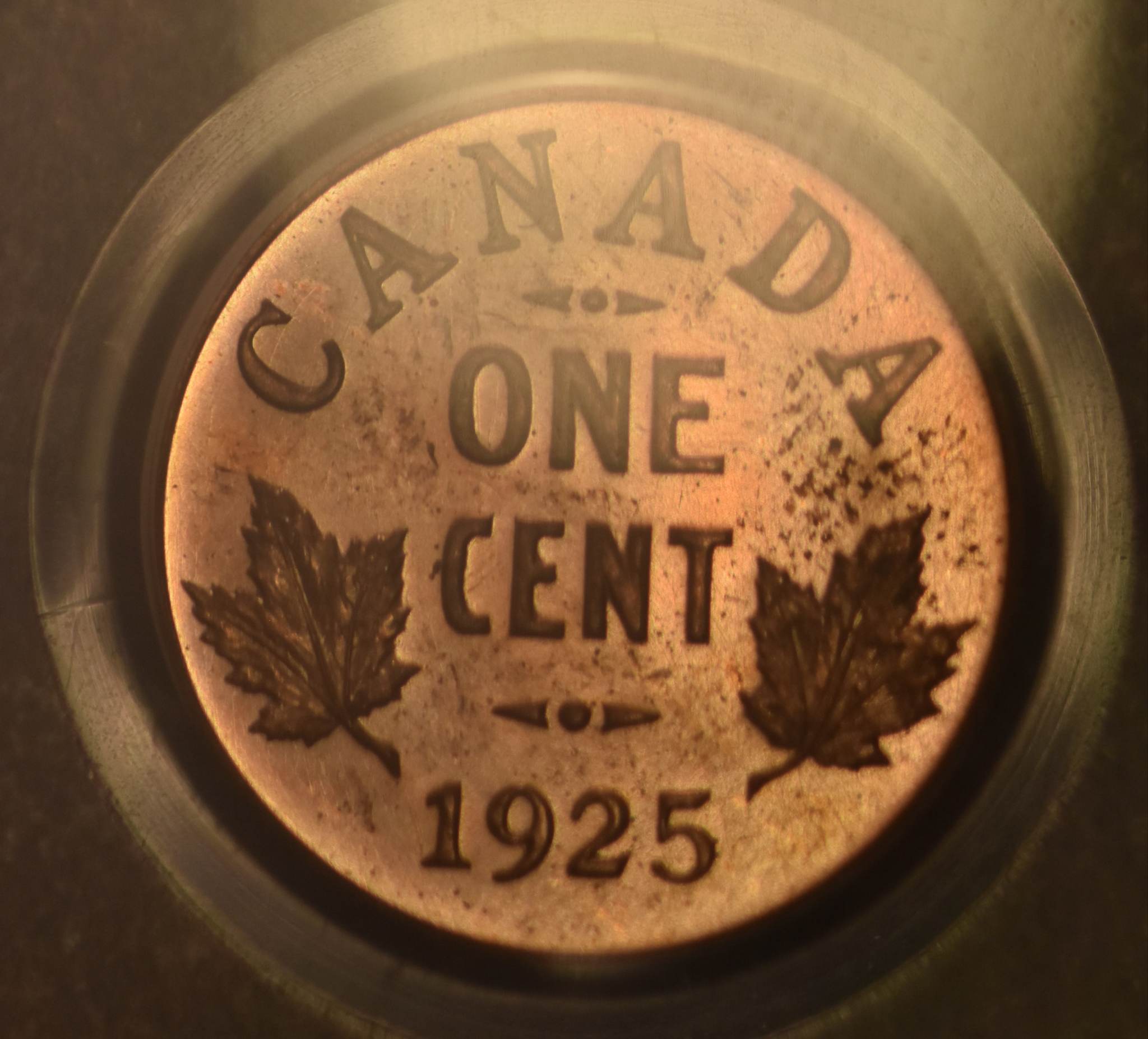 Post-Your-Most-Recent-Canadian-Coin-Purchases!